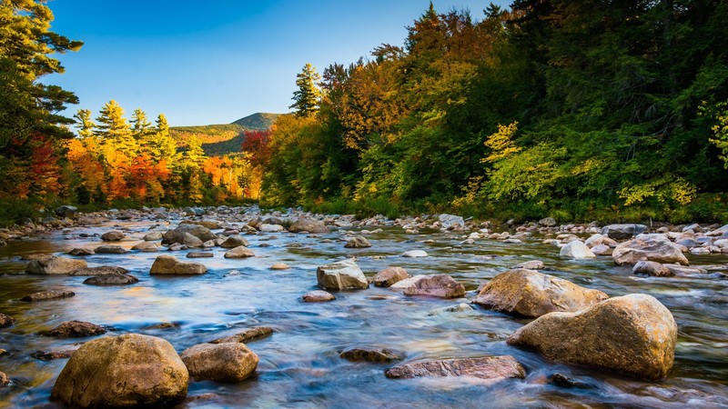 nature, landscape, sky, trees, forest, rocks, river, fall, mountains, clear sky, White Mountains, New Hampshire, USA
