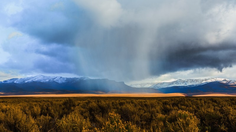 nature, landscape, sky, clouds, mountains, Monsoon, grass, plants, flowers, rain, snowy mountain, far view, Nevada, USA