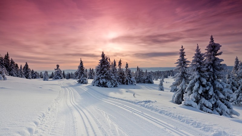 landscape, nature, sky, clouds, trees, forest, snow, mountains, snow tracks, winter, plants, sunset, Norway