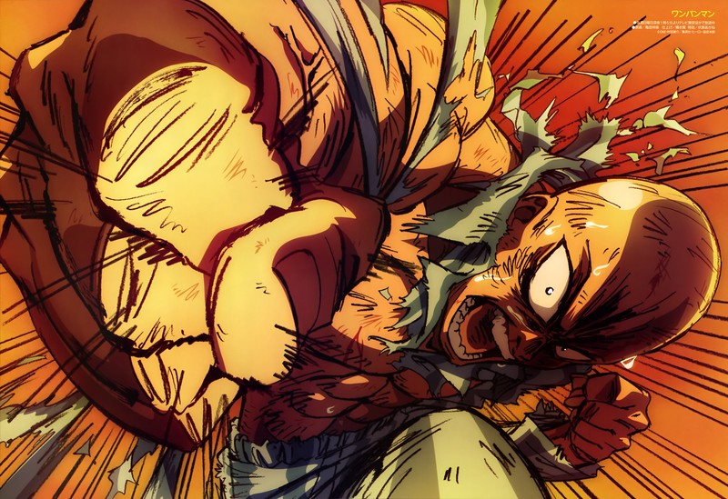 One-Punch Man, anime, warrior