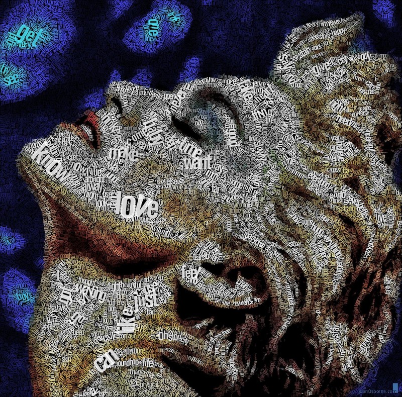 typography, word clouds, Juan Osborne, artwork, typographic portraits, Madonna