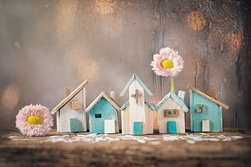 house, still life, wood, flowers, glass