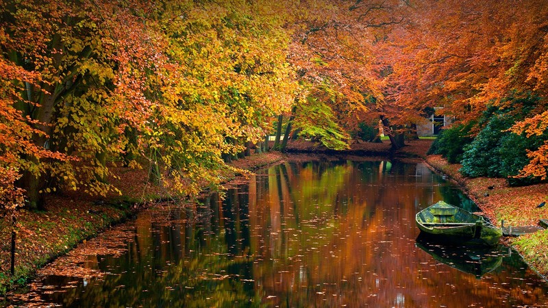 nature, landscape, boat, trees, house, fall, leaves, plants, reflection, Netherlands