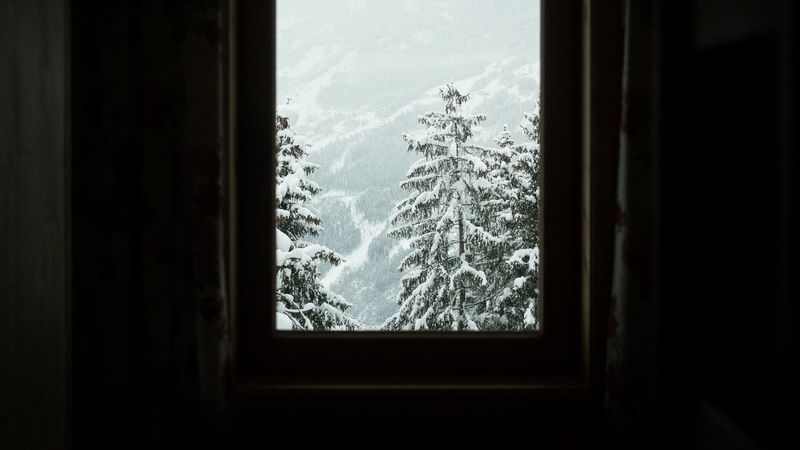 window, trees, winter, snowy, 4k