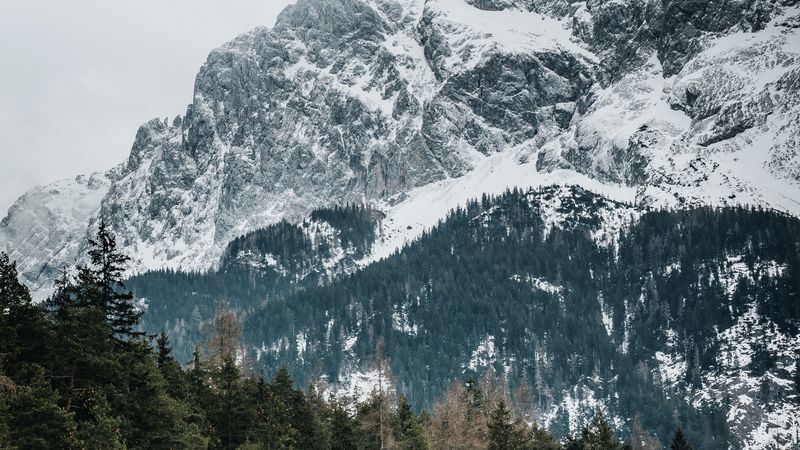 mountains, trees, peaks, snowy, germany, 4k