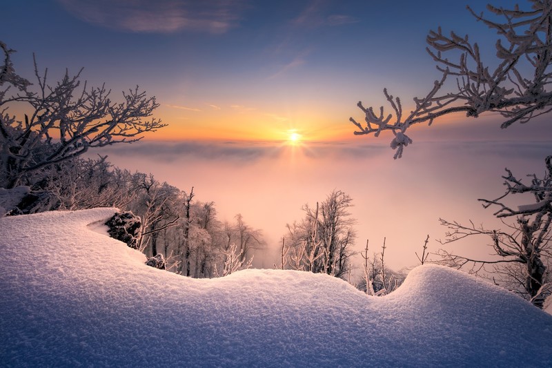 winter, snow, nature, cold, sky, sunlight