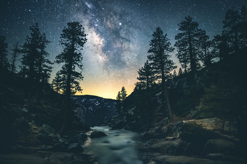 trees, landscape, mountains, night, stars