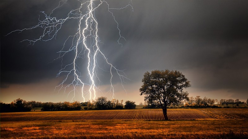 nature, landscape, farm, trees, field, grass, plants, clouds, Monsoon, lightning