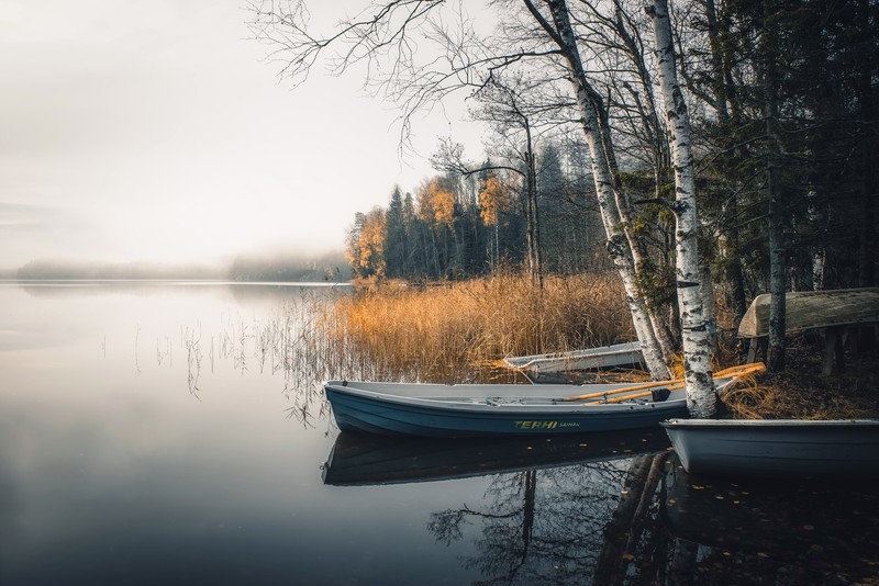boat, vehicle, water, nature, fall