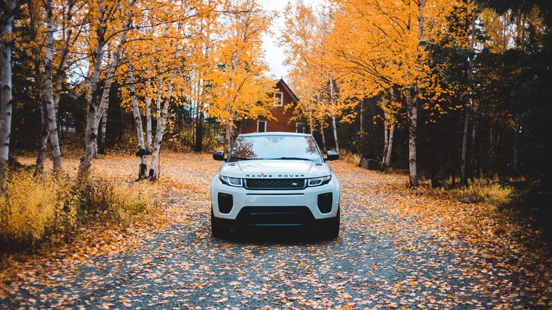 range rover, land rover, suv, autumn, front view, 4k