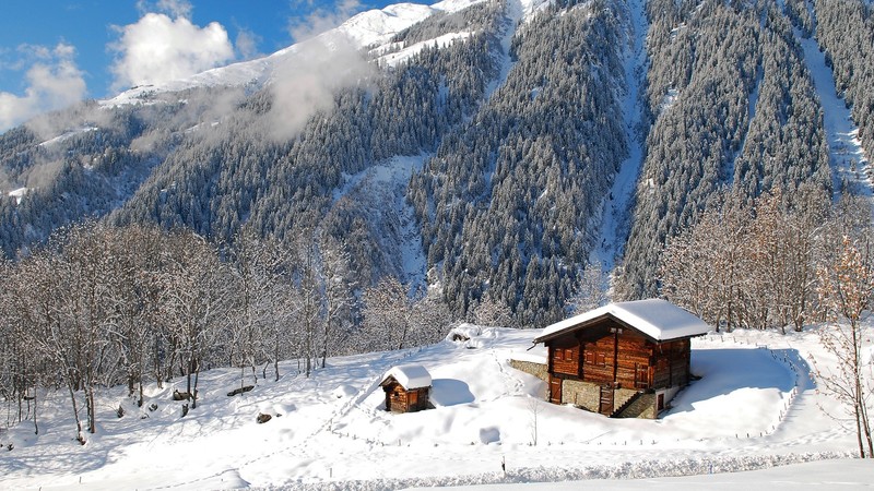 building, sky, clouds, daylight, trees, nature, photography, snow, winter, forest, landscape, mountains