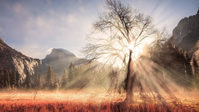 forest, nature, sun rays, sunlight, sky, clouds, mountains, rocks, USA, California, Yosemite National Park, winter, snow, photography
