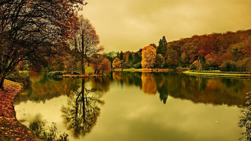 lake, dusk, trees, nature, reflection, forest, landscape, photography
