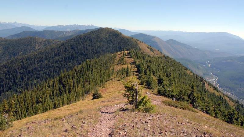 mountains, hills, forest, trees, sky, daylight, landscape, nature, photography
