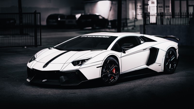 Lamborghini, white cars, supercars, car, vehicle, asphalt, night, photography