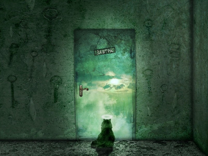 cats, door, Cyrillic