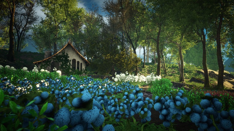 nature, flowers, shrubs, trees, eastshade