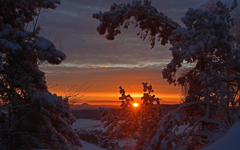 nature, snow, sunrise, trees