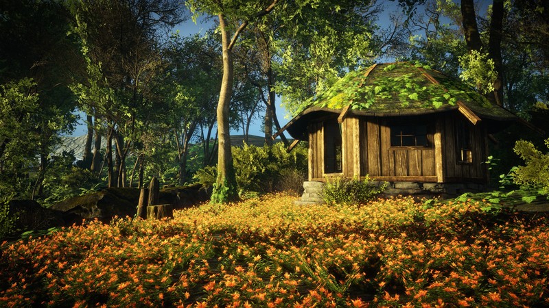 nature, flowers, shrubs, trees, eastshade