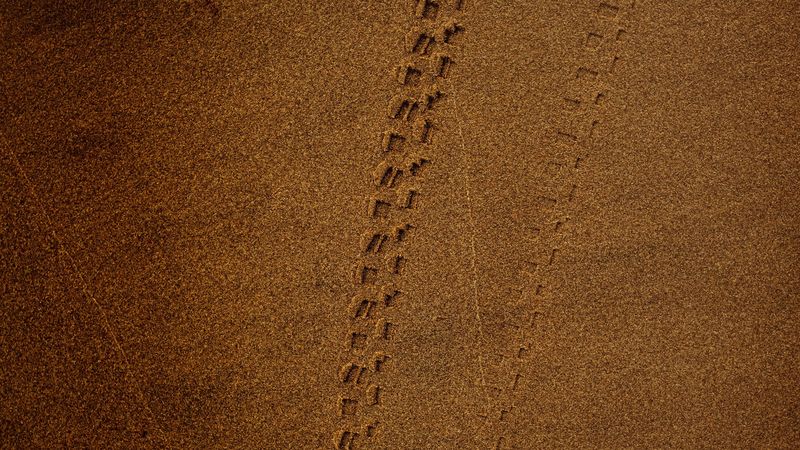 trace, sand, brown, 4k