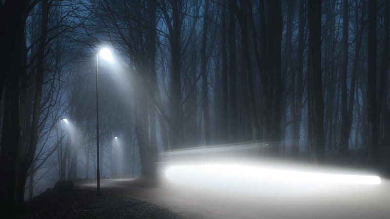 nature, silhouette, landscape, trees, forest, road, mist, motion blur, street light, lamp, lights, branch