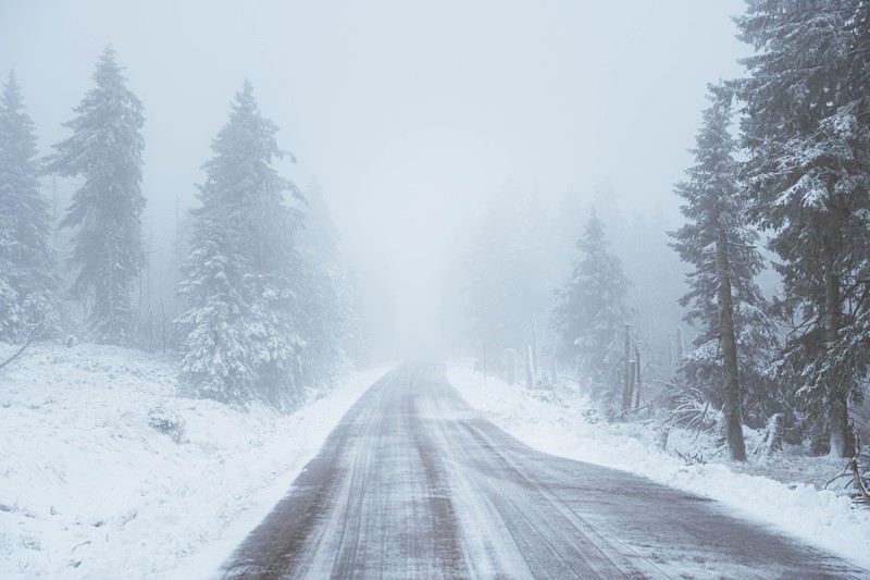 winter, snow, road, trees
