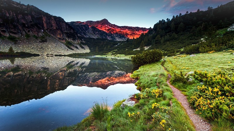 nature, landscape, reflection, trees, forest, mountains, yellow flowers, rocks, clouds, sky, sunset, grass, plants, water, Pirin Mountains, Bulgaria