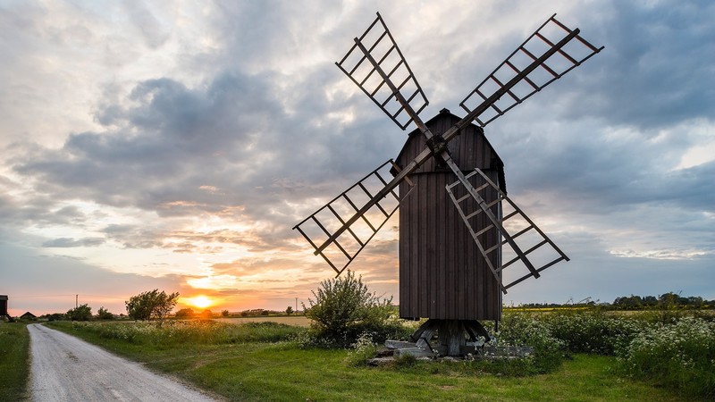 nature, landscape, windmill, plants, dawn, road, grass, farm, wood, flowers, clouds, Sun, sky, power lines, house, village, Sweden