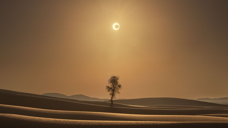 landscape, desert, eclipse