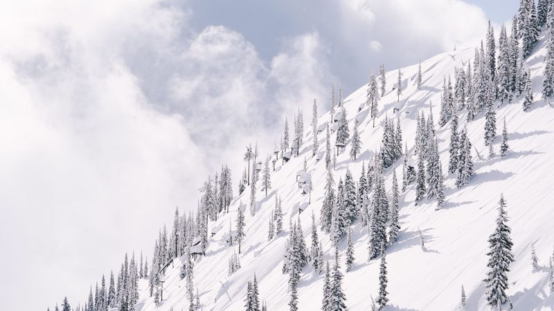 slope, mountain, trees, winter, snow, 4k
