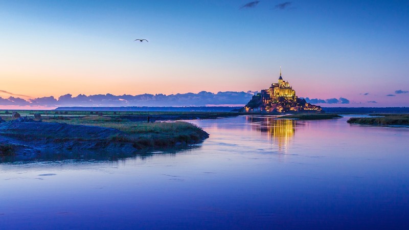 nature, landscape, water, clouds, eagle, plants, river, sunset, sky, Mont Saint-Michel, France, bay, Abbey