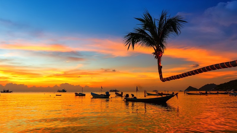 boat, nature, landscape, clouds, sky, sunset, water ripples, mountains, horizon, coconuts, fisherman, Thailand