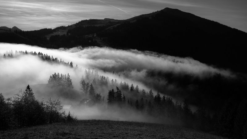 mountain, fog, bw, trees, hills, 4k