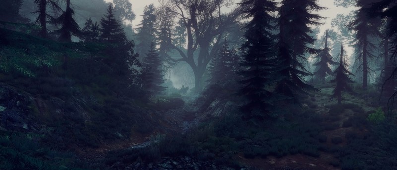 The Witcher 3: Wild Hunt, landscape, Geralt of Rivia