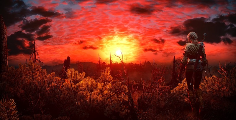 The Witcher 3: Wild Hunt, Ciri, landscape
