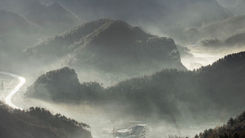 mountains, fog, forest, aerial view, 4k