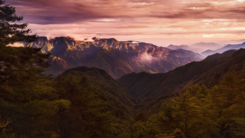 mountains, clouds, spruce, 4k