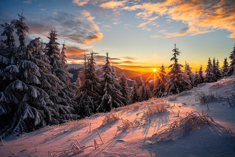 winter, nature, sunrise, snow, trees, landscape, clouds