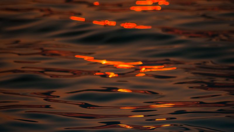 water, ripples, macro, shine, 4k