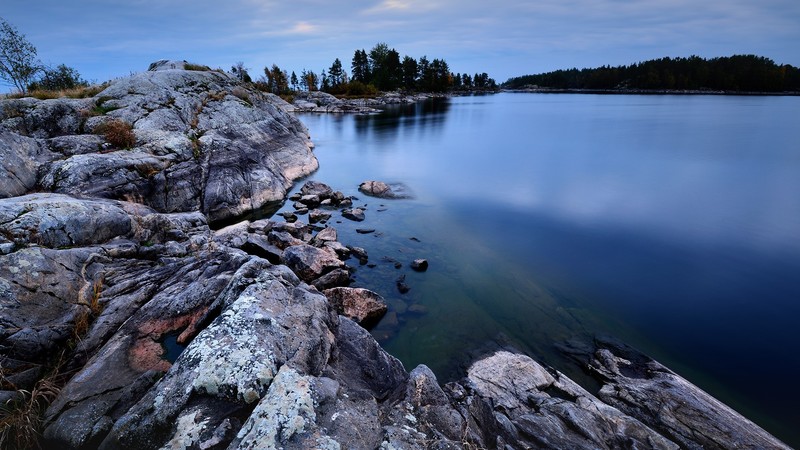 nature, landscape, rocks, lake, plants, trees, forest, clouds, sky, Lake Ladoga, Russia