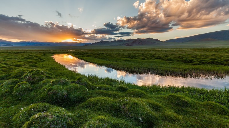 nature, landscape, plants, moss, clouds, sky, river, mountains, sunset, field, grass, Iceland