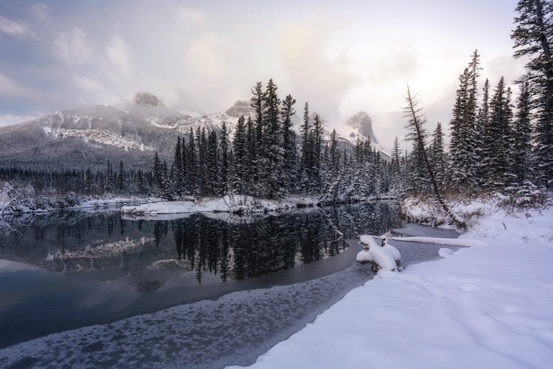 outdoors, cold, winter, snow, nature