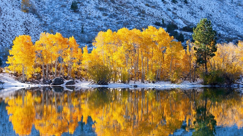 lake, reflection, fall, trees, snow, nature, landscape, sunlight, daylight, stones