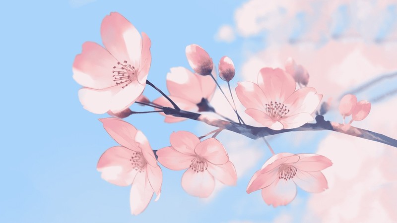 flower sakura, pink, flowers, anime, plants