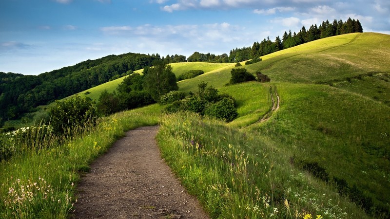 path, grass, trees, forest, sky, clouds, sunlight, daylight, nature, landscape, hills, Kaiserstuhl