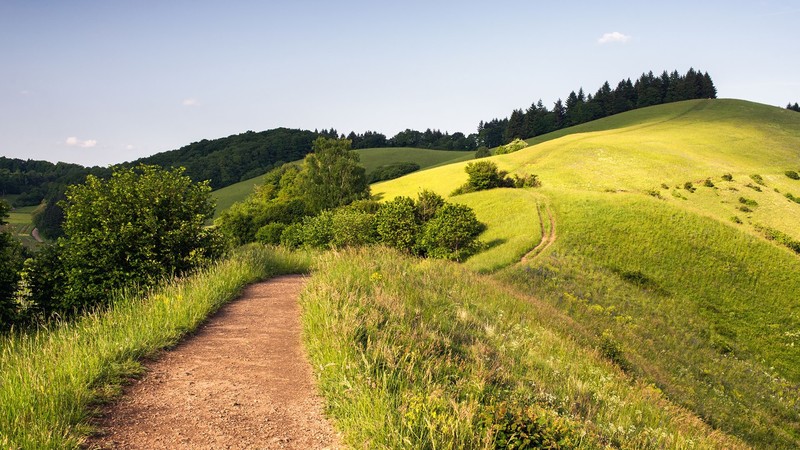 nature, landscape, sky, clouds, trees, plants, forest, path, grass, hill, spring, Germany, Kaiserstuhl