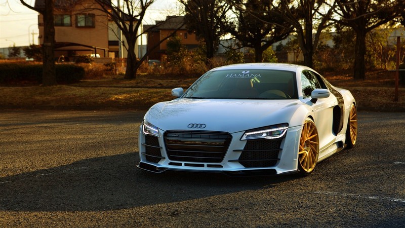 Audi R8, white cars, sunlight, nature, car, vehicle, trees, house, asphalt, Audi R8 Type 42