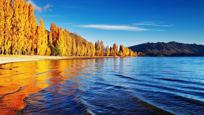 nature, landscape, trees, forest, water ripples, waves, clouds, sky, mountains, sunlight, fall, sand, Lake Wanaka, New Zealand