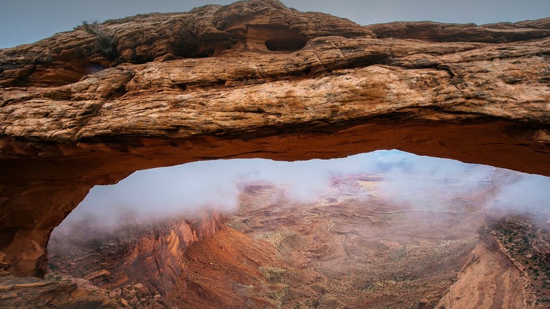 nature, landscape, canyon, mist, rock formation, plants, Utah, USA