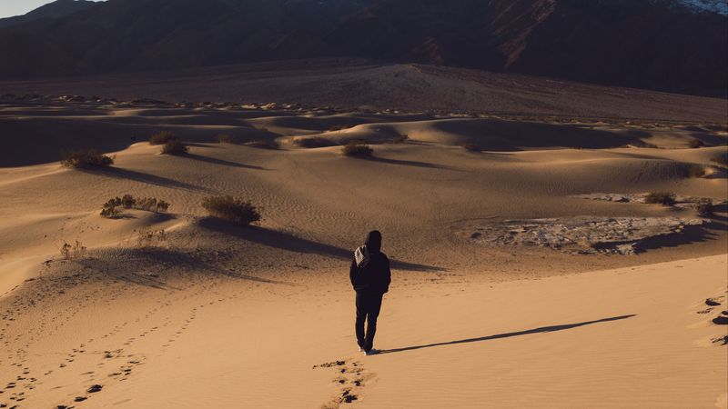 desert, loneliness, solitude, sand, traces, 4k
